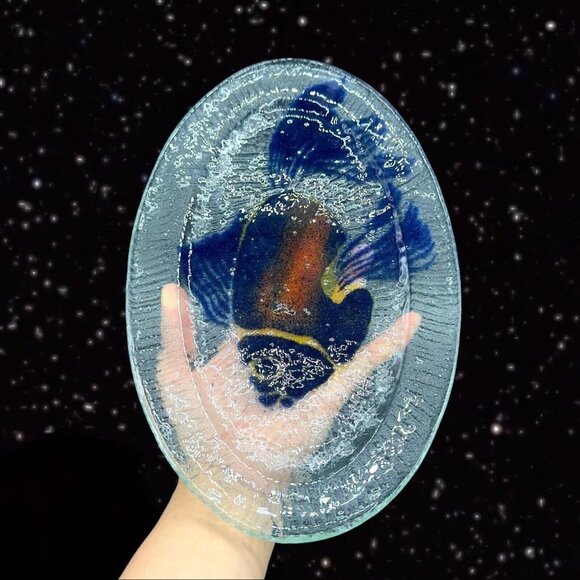 Large Fused Studio Art Glass Fish Tray Dish Hand Made Clear Glass 13.5”Long 8”W - Picture 3 of 15